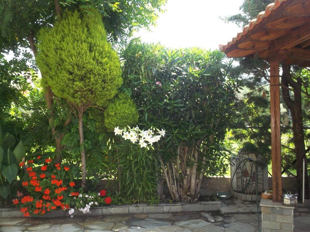 Fotini'S Studios 1 Toroni Ngoại thất bức ảnh