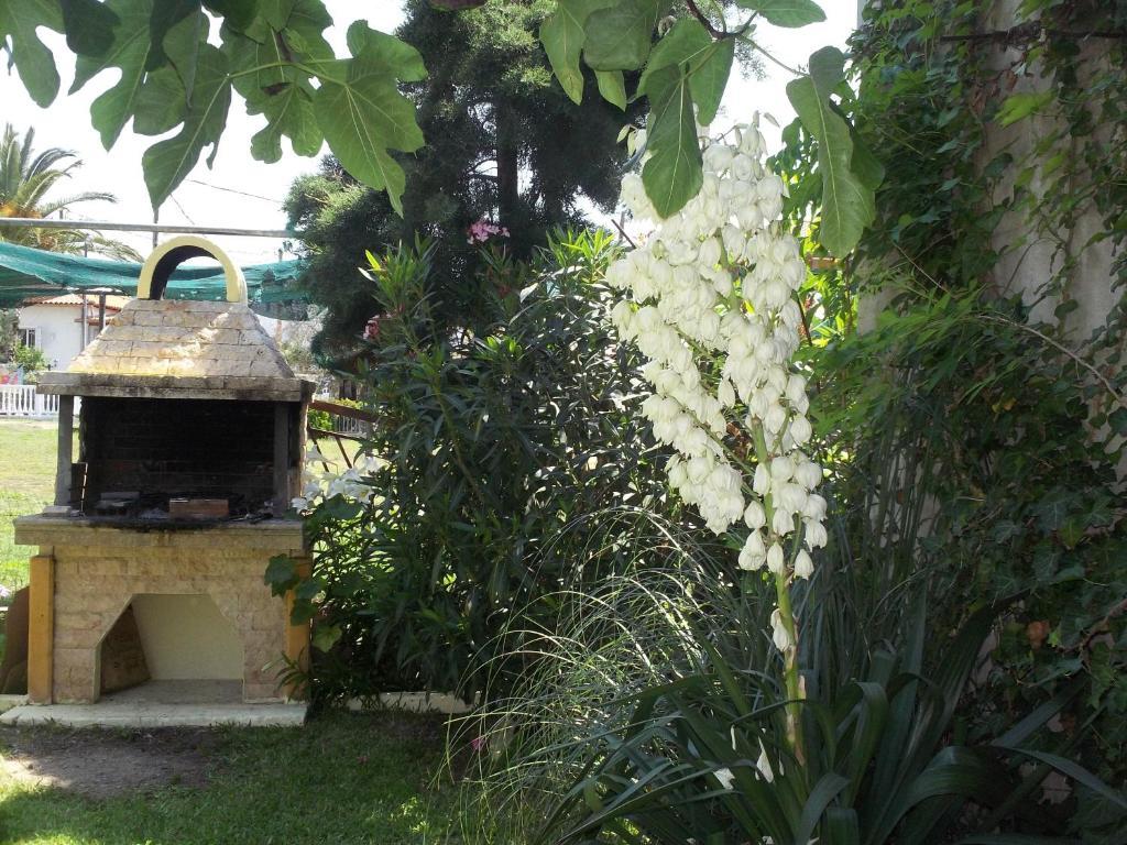 Fotini'S Studios 1 Toroni Ngoại thất bức ảnh